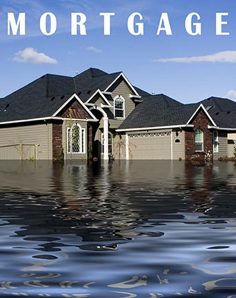 Your Albany, New York, Mortgage and Foreclosure Attorney will explain how a Ch. 13 bankruptcy can help you keep your home.