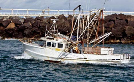 In Albany, family farmers and family fishermen can find debt relief under Chapter 12 of the U.S. Bankruptcy Code; contact a qualified Albany Bankruptcy Lawyer for a free initial consultation.